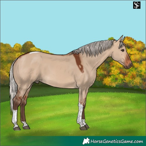 Horse Color:Silver Brown Dun Tobiano 