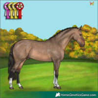 Horse Color:Brown Dun Tobiano