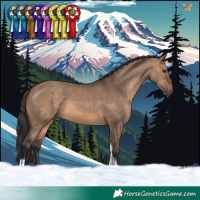 Horse Color:Brown Dun Tobiano 