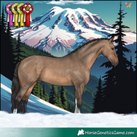 Horse Color:Brown Dun Tobiano 