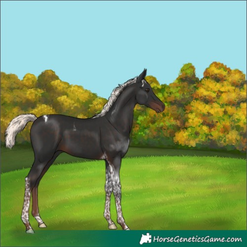 Horse Color:Liver Chestnut Mushroom Tobiano 