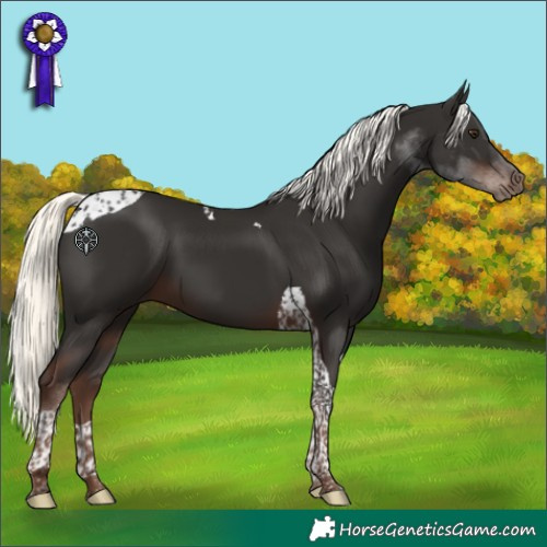 Horse Color:Liver Chestnut Mushroom Tobiano 