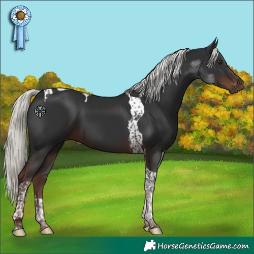 Horse Color:Liver Chestnut Mushroom Tobiano 