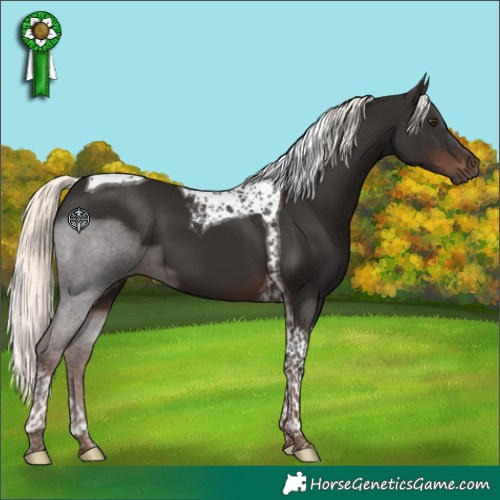 Horse Color:Liver Chestnut Mushroom Tobiano 