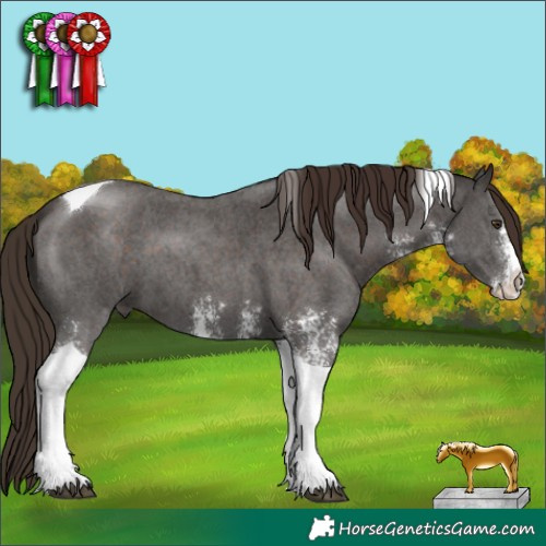 Horse Color:Liver Chestnut Sabino Tobiano 