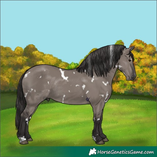 Horse Color:White Spotted Smoky Grullo Rabicano 