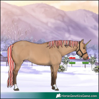 Horse Color:Painted Silver Bay Dun