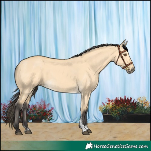 Horse Color:Buckskin Dun Sabino 