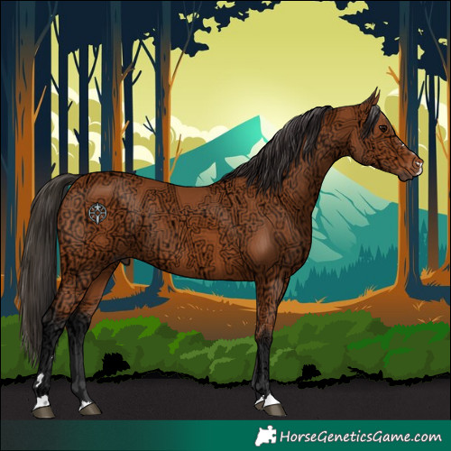 Horse Color:Bay Ice 