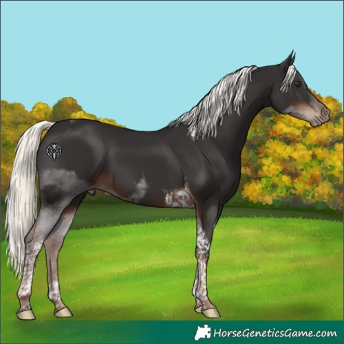 Horse Color:Liver Chestnut Mushroom Tobiano 