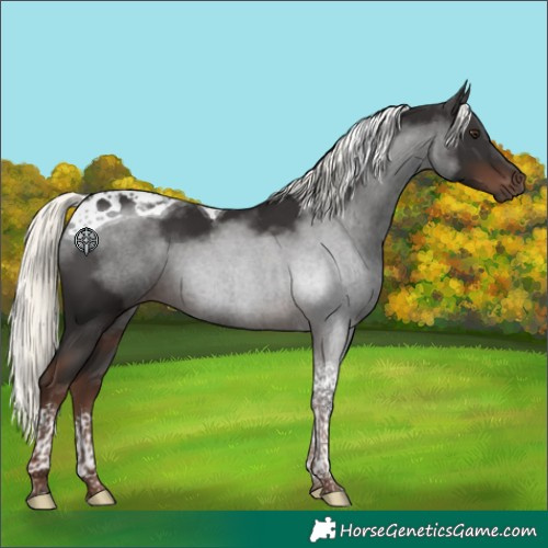 Horse Color:Liver Chestnut Mushroom Tobiano 