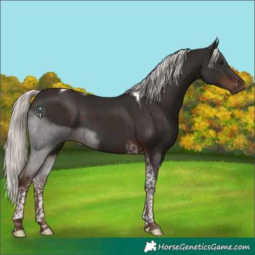 Horse Color:Liver Chestnut Mushroom Tobiano 