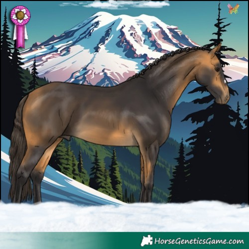 Horse Color:Buckskin 