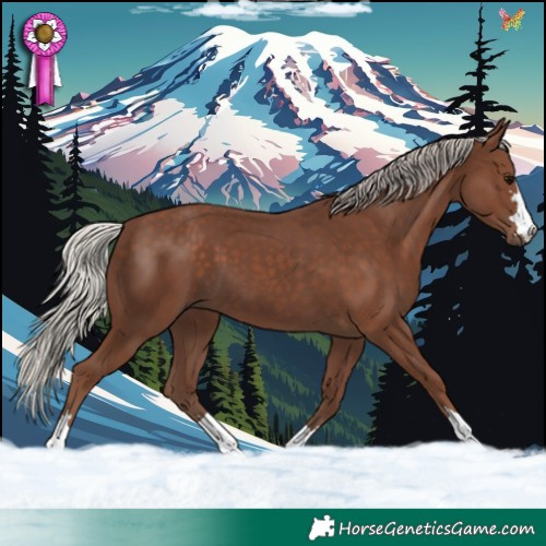 Horse Color:Silver Black 