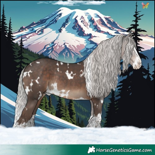 Horse Color:White Spotted Silver Black Splash Rabicano 