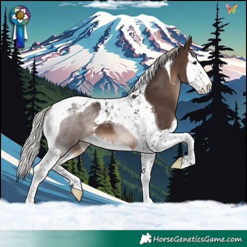 Horse Color:Silver Brown Splash Tobiano 