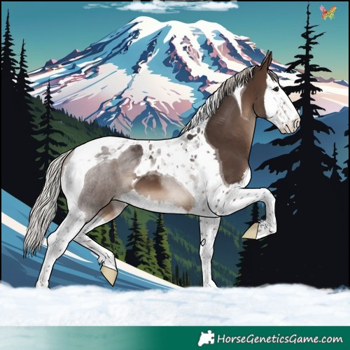 Horse Color:Silver Brown Splash Tobiano 