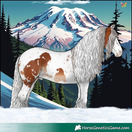 Horse Color:White Spotted Silver Bay Splash Tobiano 