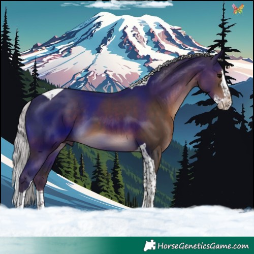 Horse Color:Silver Black Splash Tobiano 