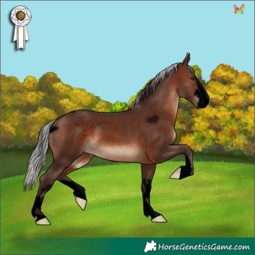 Horse Color:Void Silver Brown 