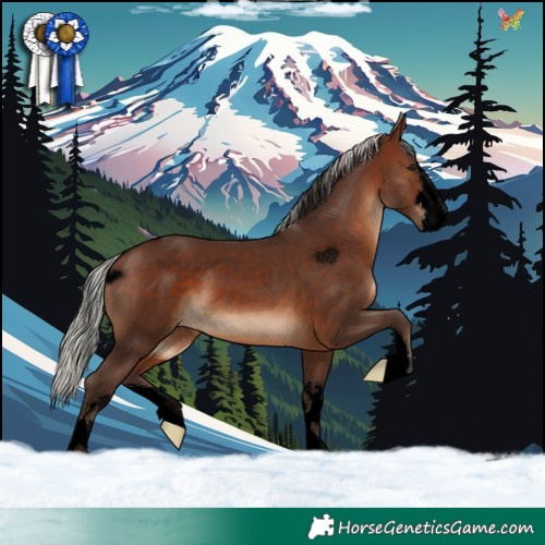 Horse Color:Void Silver Brown 