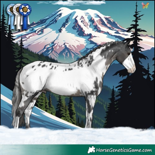 Horse Color:White Spotted Black Frame Blanket 