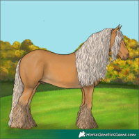 Horse Color:Palomino
