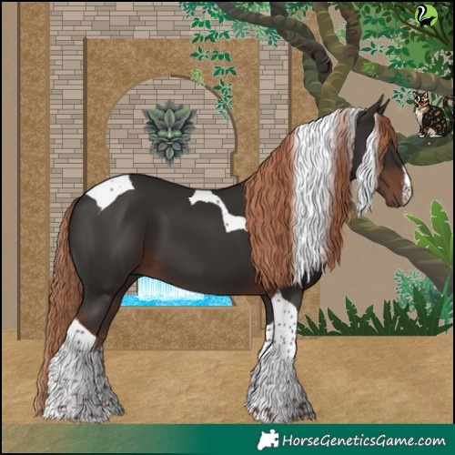 Horse Color:White Spotted Liver Chestnut Tobiano 