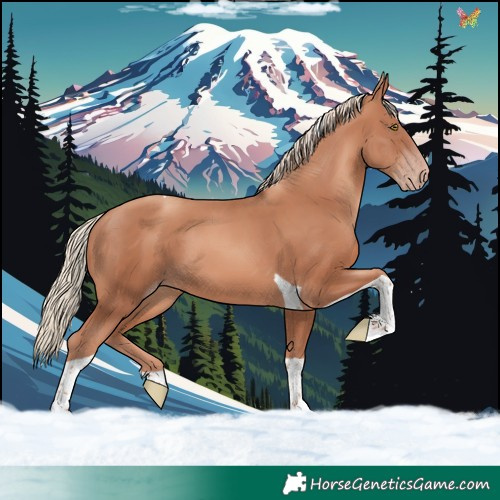 Horse Color:Gold Champagne Tobiano 