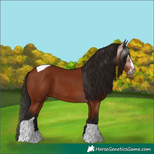 Horse Color:Gray Bay Splash Tobiano 