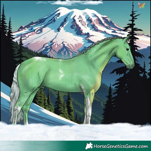 Horse Color:Watercolor Silver Black Tobiano 