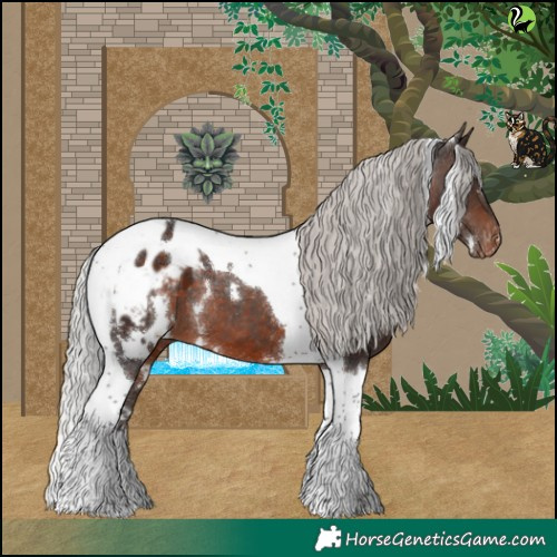Horse Color:White Spotted Silver Brown Tobiano Appaloosa 