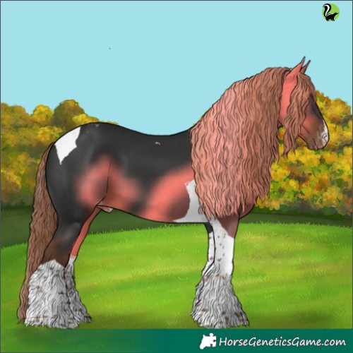 Horse Color:White Spotted Liver Chestnut Tobiano Appaloosa 