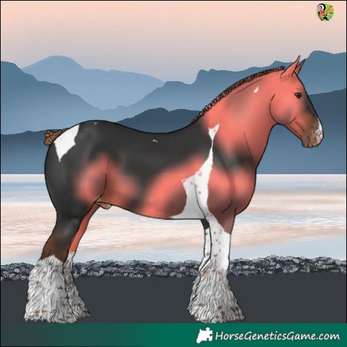 Horse Color:White Spotted Liver Chestnut Tobiano Varnish 