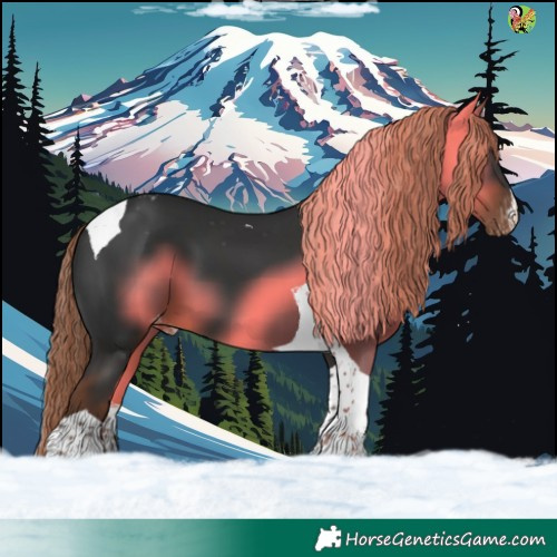 Horse Color:White Spotted Liver Chestnut Tobiano Appaloosa 