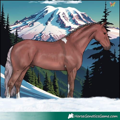 Horse Color:Silver Grullo Tobiano 
