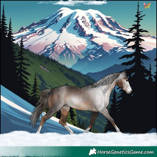 Horse Color:Gray Liver Chestnut 