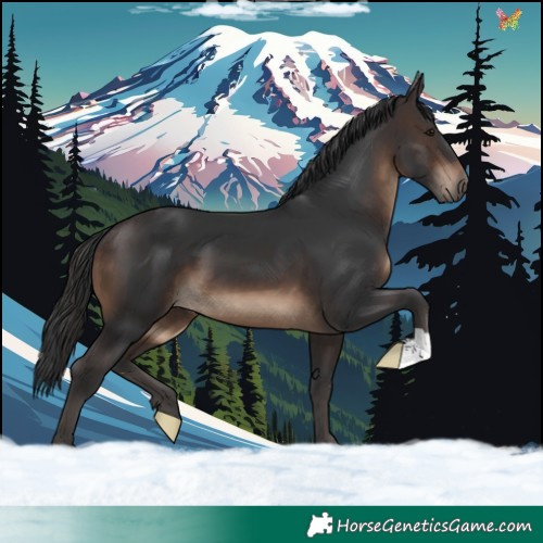 Horse Color:Brown 