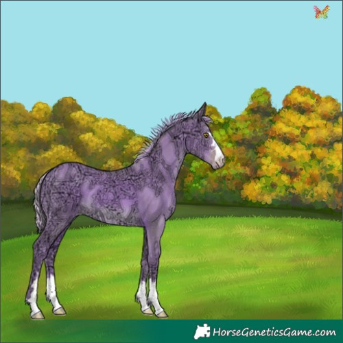 Horse Color:Watercolor Gold Champagne Ice