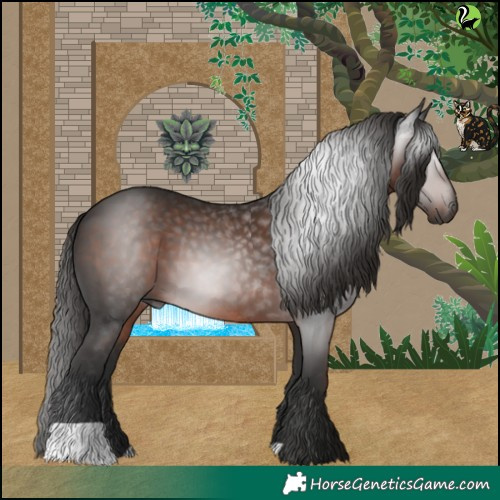 Horse Color:Gray Liver Chestnut 