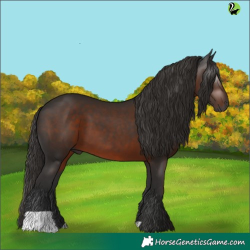 Horse Color:Gray Liver Chestnut
