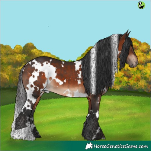Horse Color:White Spotted Brown 