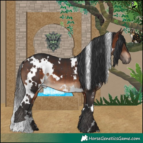 Horse Color:White Spotted Brown 