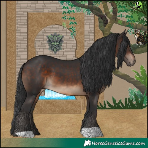Horse Color:Brown 