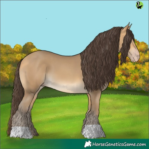 Horse Color:Sable Cream Champagne 