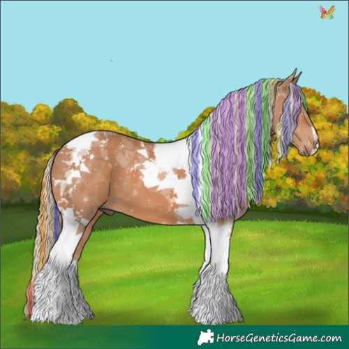 Horse Color:Painted Chestnut Mushroom Tobiano 