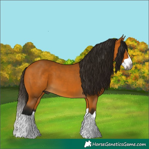 Horse Color:Gray Buckskin Splash 