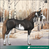Horse Color:White Spotted Liver Chestnut 