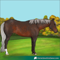 Horse Color:Silver Brown