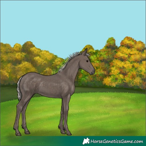 Horse Color:Silver Black 